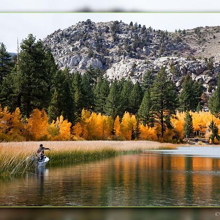 Lake Front Cabins June Lake Buitenkant foto