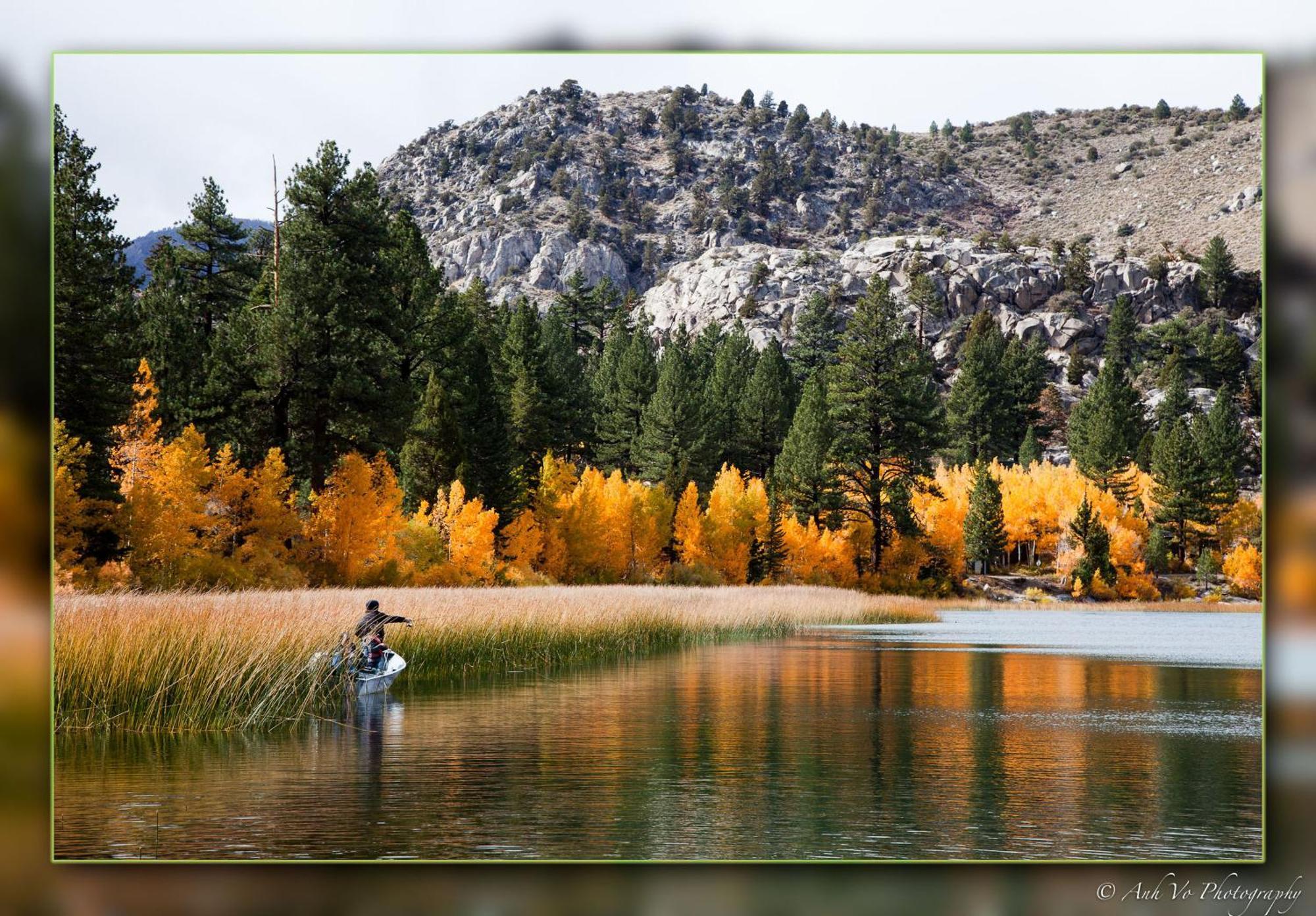 Lake Front Cabins June Lake Buitenkant foto