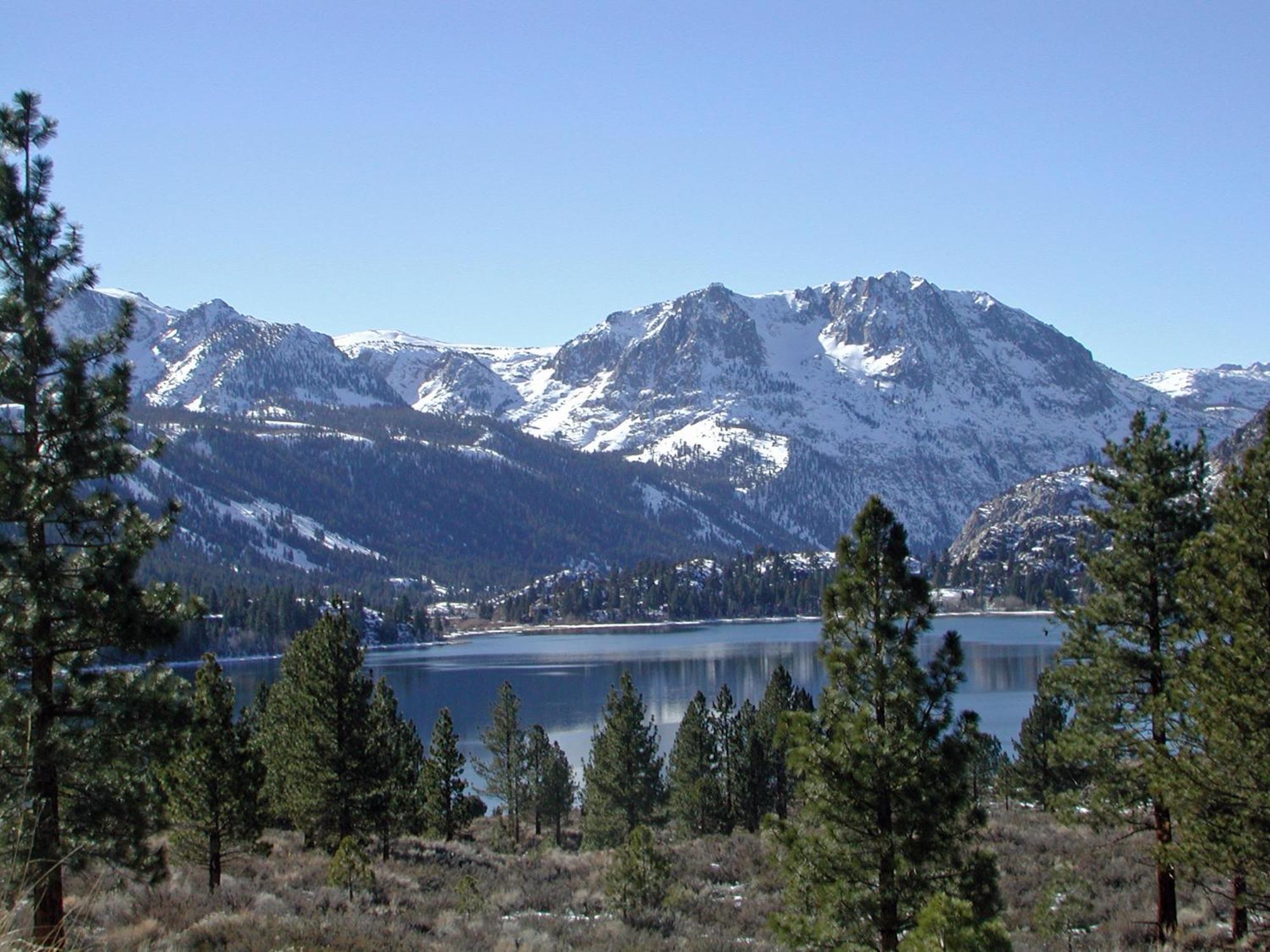 Lake Front Cabins June Lake Buitenkant foto